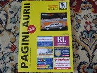 Pagini aurii 2010-2011