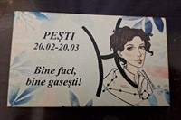 Magnet zodia PESTI