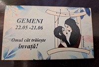 Magnet zodia GEMENI