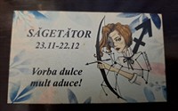 Magnet zodia SAGETATOR