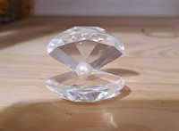 Decoratiune "scoica cu perla"