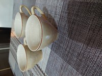 Set 3 cescute