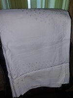 Fata de masa 