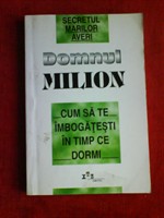 Domnul milion - Ioana Gavrici