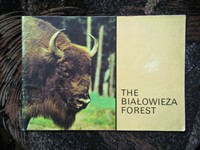 Carte "The Bialowieza forest"