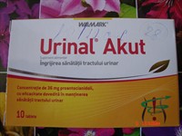 Urinal Akut