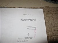 Neuroanatomie (Sibiu) - Id = 42