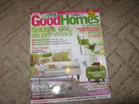 Revista GoodHomes martie 2009 (Id = 159)