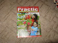 Revista Practic nr. 7 din 2008 (Id = 96)
