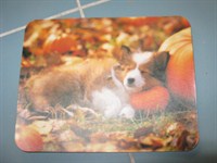 Mouse pad cu catel (Id = 205)