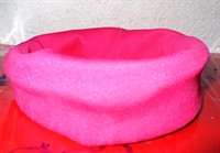 Bentita elastica