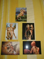 Carti postale cu modele anatomice