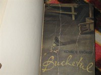 carte legata Kovacs Gyorgy  - Buchetul