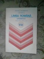 Manual gramatica cls. VII