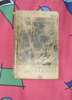 "Cantonul parasit" de Fanus Neagu