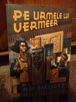 Pe urmele lui Vermeer - carte copii/adolescenti 