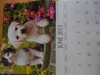 Calendar 2013 (2)