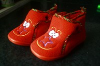 pantofi de casa