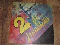 Disc vinil - 2 SI JUMATATE