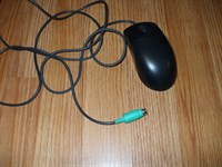 mouse1