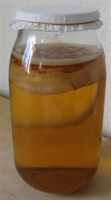 Ciuperca Kombucha 3