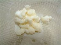 culturi lactice probiotice - kefir