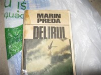 4067. Marin Preda - Delirul