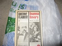 4114. Gustave Flaubert - Doamna Bovary