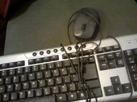 monitor vechi , tastatura si mouse