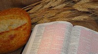 Curs de Sanatate - Secretele Biblice ale sanatatii - online sau prin corespondenta - 3 luni