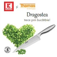 Puncte Kaufland - promotia cutite Thomas