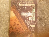 LA MARGINEA APEI