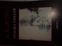 Jung -Analiza viselor