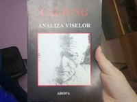 C.G.Jung - Analiza viselor