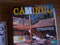 REVISTA CAMINUL