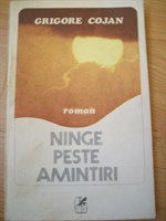 Ninge peste amintiri