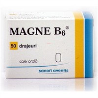 Magne B6