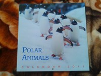 Calendar cu poze cu pinguini pe 2011