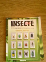 REVISTA INSECTE - Ghid