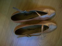 Pantofi dans 