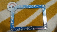 Magnet de frigider 1