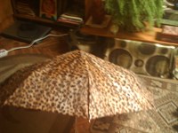 Umbrela defecta