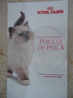 Ghid pentru cresterea puiului de pisica