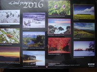 Calendar perete 2016