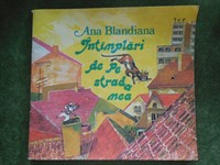 Ana Blandiana - Intamplari de pe strada mea