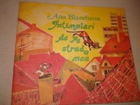 Ana Blandiana - Intamplari de pe strada mea