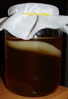 Pui de Kombucha