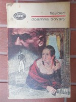 Doamna Bovary. Flaubert