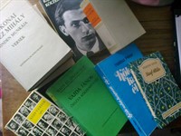 Carti de literatura maghiara