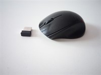 Mouse wireless defect 